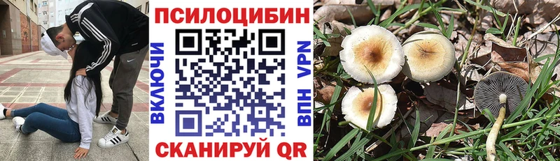 Псилоцибиновые грибы мухоморы  Коркино 